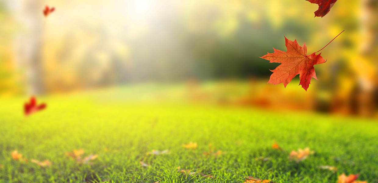 Oakview Inc Nursing Home and Assisted Living Conrad,IA